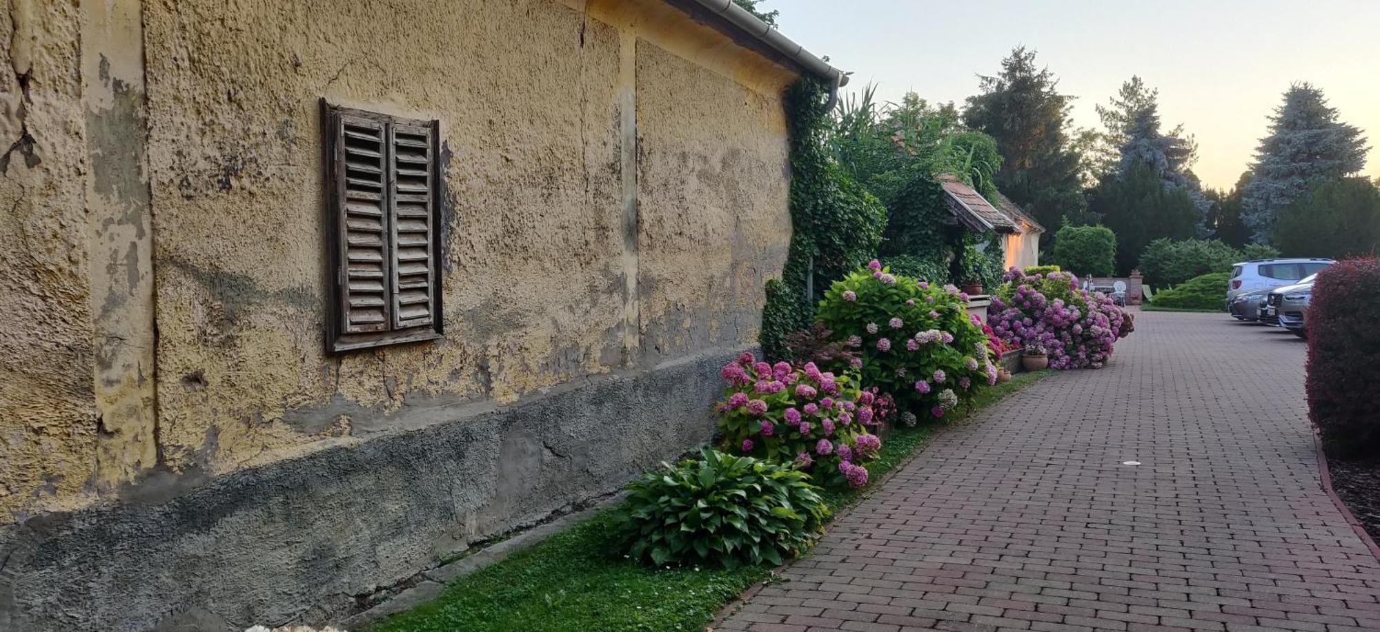 Korona Panzio Bed & Breakfast Balatonberény Exterior photo