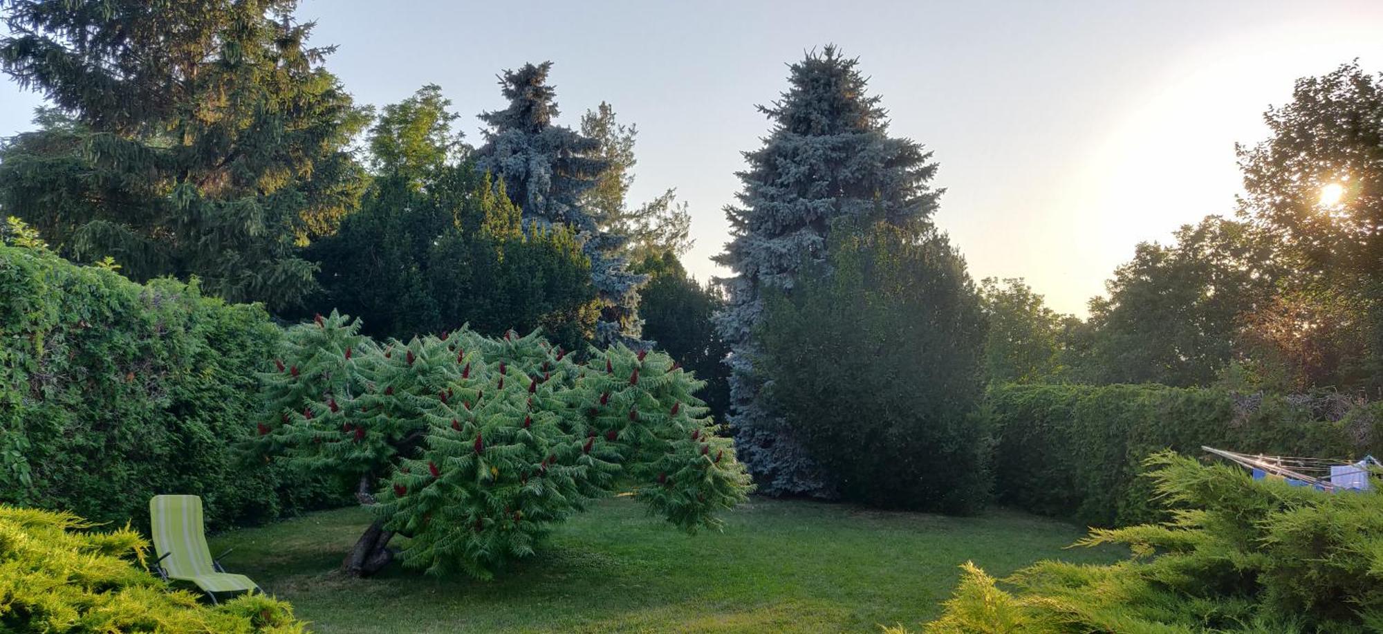 Korona Panzio Bed & Breakfast Balatonberény Exterior photo