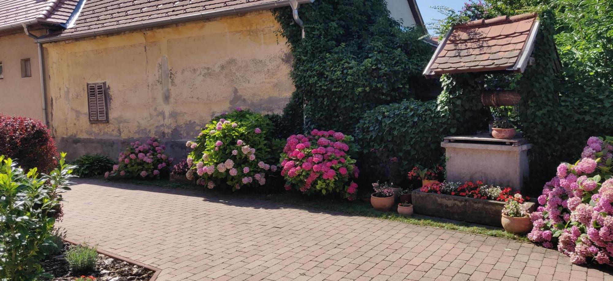 Korona Panzio Bed & Breakfast Balatonberény Exterior photo