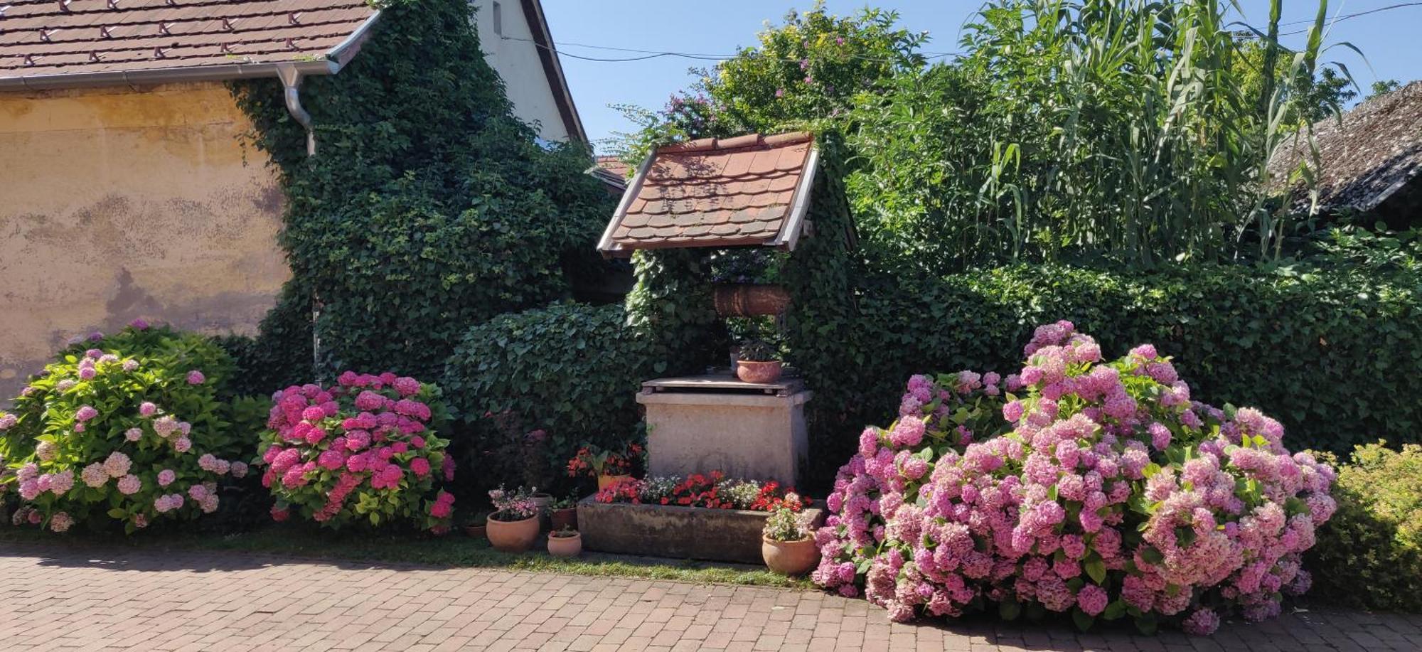 Korona Panzio Bed & Breakfast Balatonberény Exterior photo